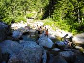 Immagine sofia 259.jpg